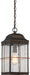 Hanging Lantern Nuvo 60-5836 Howell - 1 Light - Outdoor Hanging Lantern with 60W Vintage Lamp Included - Bronze with Copper Accents Finish Nuvo