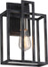 Sconce Nuvo 60-5856 Lake - 1 Light - Wall Sconce - Iron Black with Brushed Nickel Accents Finish Nuvo