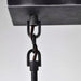 Island Pendant Nuvo 60-5859 Lake - 4 Light - Island Pendant - Iron Black with Brushed Nickel Accents Finish Nuvo