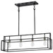 Island Pendant Nuvo 60-5859 Lake - 4 Light - Island Pendant - Iron Black with Brushed Nickel Accents Finish Nuvo