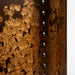 Sconce Nuvo 60-5891 Kettle - 1 Light - Wall Sconce with 60W Vintage Lamp Included - Weathered Brass Finish Nuvo
