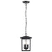 Hanging Lantern Nuvo 60-5933 Jamesport Collection Outdoor 11 inch Hanging Light - Matte Black with Clear Glass Nuvo