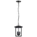 Hanging Lantern Nuvo 60-5933 Jamesport Collection Outdoor 11 inch Hanging Light - Matte Black with Clear Glass Nuvo