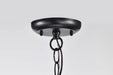 Hanging Lantern Nuvo 60-5933 Jamesport Collection Outdoor 11 inch Hanging Light - Matte Black with Clear Glass Nuvo