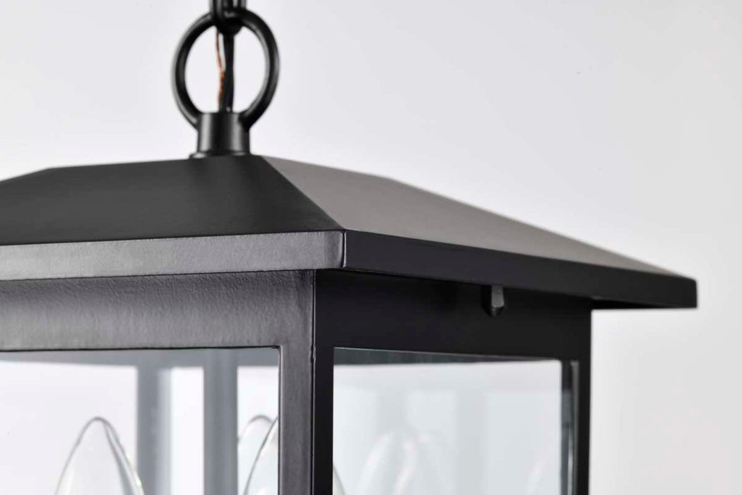 Hanging Lantern Nuvo 60-5933 Jamesport Collection Outdoor 11 inch Hanging Light - Matte Black with Clear Glass Nuvo