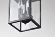 Hanging Lantern Nuvo 60-5933 Jamesport Collection Outdoor 11 inch Hanging Light - Matte Black with Clear Glass Nuvo
