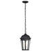 Hanging Lantern Nuvo 60-5944 East River Collection Outdoor 14.5 inch Hanging Light - Matte Black Finish with Clear Water Glass Nuvo