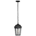 Hanging Lantern Nuvo 60-5944 East River Collection Outdoor 14.5 inch Hanging Light - Matte Black Finish with Clear Water Glass Nuvo
