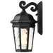 Wall Lantern Nuvo 60-5945 East River Collection Outdoor 12 inch Small Wall Light - Matte Black Finish with Clear Water Glass Nuvo