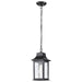 Hanging Lantern Nuvo 60-5958 Stillwell Collection Outdoor 14 inch Hanging Light - Matte Black Finish with Clear Water Glass Nuvo