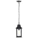 Hanging Lantern Nuvo 60-5958 Stillwell Collection Outdoor 14 inch Hanging Light - Matte Black Finish with Clear Water Glass Nuvo
