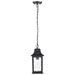 Hanging Lantern Nuvo 60-5958 Stillwell Collection Outdoor 14 inch Hanging Light - Matte Black Finish with Clear Water Glass Nuvo
