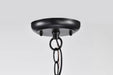 Hanging Lantern Nuvo 60-5958 Stillwell Collection Outdoor 14 inch Hanging Light - Matte Black Finish with Clear Water Glass Nuvo