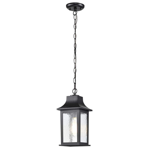 Hanging Lantern Nuvo 60-5958 Stillwell Collection Outdoor 14 inch Hanging Light - Matte Black Finish with Clear Water Glass Nuvo
