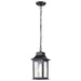 Hanging Lantern Nuvo 60-5958 Stillwell Collection Outdoor 14 inch Hanging Light - Matte Black Finish with Clear Water Glass Nuvo