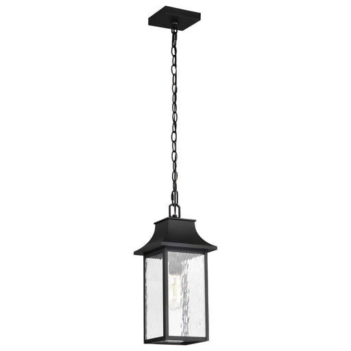 Hanging Lantern Nuvo 60-5996 Austen Collection Outdoor 17 inch Hanging Light - Matte Black Finish with Clear Water Glass Nuvo