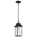 Hanging Lantern Nuvo 60-5996 Austen Collection Outdoor 17 inch Hanging Light - Matte Black Finish with Clear Water Glass Nuvo