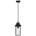 Hanging Lantern Nuvo 60-5996 Austen Collection Outdoor 17 inch Hanging Light - Matte Black Finish with Clear Water Glass Nuvo