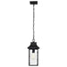Hanging Lantern Nuvo 60-5996 Austen Collection Outdoor 17 inch Hanging Light - Matte Black Finish with Clear Water Glass Nuvo