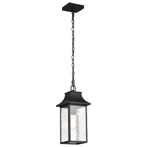 Hanging Lantern Nuvo 60-5996 Austen Collection Outdoor 17 inch Hanging Light - Matte Black Finish with Clear Water Glass Nuvo