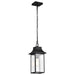 Hanging Lantern Nuvo 60-5996 Austen Collection Outdoor 17 inch Hanging Light - Matte Black Finish with Clear Water Glass Nuvo