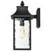 Wall Lantern Nuvo 60-5998 Austen Collection Outdoor 17 inch Large Wall Light - Matte Black Finish with Clear Water Glass Nuvo
