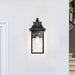 Wall Lantern Nuvo 60-5998 Austen Collection Outdoor 17 inch Large Wall Light - Matte Black Finish with Clear Water Glass Nuvo