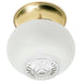 Flush Mount Nuvo 60-6029 1 Light - 6 in. - Ceiling Fixture - Clear Bottom Squat Ball - Color retail packaging - Polished Brass Finish Nuvo