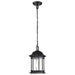 Hanging Lantern Nuvo 60-6117 Hopkins Collection Outdoor 12 inch Hanging Lantern - Matte Black Finish with Clear Glass Nuvo