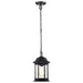 Hanging Lantern Nuvo 60-6117 Hopkins Collection Outdoor 12 inch Hanging Lantern - Matte Black Finish with Clear Glass Nuvo