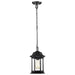 Hanging Lantern Nuvo 60-6117 Hopkins Collection Outdoor 12 inch Hanging Lantern - Matte Black Finish with Clear Glass Nuvo