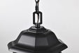 Hanging Lantern Nuvo 60-6117 Hopkins Collection Outdoor 12 inch Hanging Lantern - Matte Black Finish with Clear Glass Nuvo