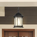 Hanging Lantern Nuvo 60-6117 Hopkins Collection Outdoor 12 inch Hanging Lantern - Matte Black Finish with Clear Glass Nuvo