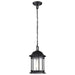 Hanging Lantern Nuvo 60-6117 Hopkins Collection Outdoor 12 inch Hanging Lantern - Matte Black Finish with Clear Glass Nuvo