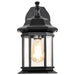 Wall Lantern Nuvo 60-6118 Hopkins Outdoor Collection 13 inch Large Wall Light - Matte Black Finish with Clear Glass Nuvo