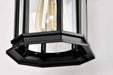 Wall Lantern Nuvo 60-6119 Hopkins Outdoor Collection 12 inch Small Wall Light - Matte Black Finish with Clear Glass Nuvo
