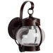 Wall Lantern Nuvo 60-631 1 Light - 11 in. - Wall Lantern - Onion Lantern with Clear Seed Glass - Old Bronze Finish Nuvo