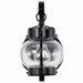 Wall Lantern Nuvo 60-632 1 Light - 11 in. - Wall Lantern - Onion Lantern with Clear Seed Glass - Textured Black Finish Nuvo
