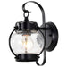 Wall Lantern Nuvo 60-632 1 Light - 11 in. - Wall Lantern - Onion Lantern with Clear Seed Glass - Textured Black Finish Nuvo