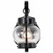 Wall Lantern Nuvo 60-632 1 Light - 11 in. - Wall Lantern - Onion Lantern with Clear Seed Glass - Textured Black Finish Nuvo
