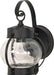 Wall Lantern Nuvo 60-632 1 Light - 11 in. - Wall Lantern - Onion Lantern with Clear Seed Glass - Textured Black Finish Nuvo