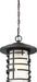 Hanging Lantern Nuvo 60-6405 Lansing - 1 Light - Outdoor Hanging Lantern with Etched Glass - Textured Black Finish Nuvo