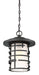 Hanging Lantern Nuvo 60-6405 Lansing - 1 Light - Outdoor Hanging Lantern with Etched Glass - Textured Black Finish Nuvo