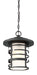 Hanging Lantern Nuvo 60-6405 Lansing - 1 Light - Outdoor Hanging Lantern with Etched Glass - Textured Black Finish Nuvo