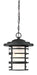 Hanging Lantern Nuvo 60-6405 Lansing - 1 Light - Outdoor Hanging Lantern with Etched Glass - Textured Black Finish Nuvo