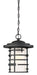 Hanging Lantern Nuvo 60-6405 Lansing - 1 Light - Outdoor Hanging Lantern with Etched Glass - Textured Black Finish Nuvo
