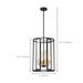 Pendant Nuvo 60-6415 Payne - 4 Light - Foyer Pendant with Clear Beveled Glass - Midnight Bronze Finish Nuvo