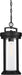 Hanging Lantern Nuvo 60-6504 Huron - 1 Light - Hanging Lantern - Aged Bronze Finish with Clear Glass Nuvo