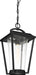 Hanging Lantern Nuvo 60-6514 Lakeview - 1 Light - Hanging Lantern - Aged Bronze Finish with Clear Seed Glass Nuvo