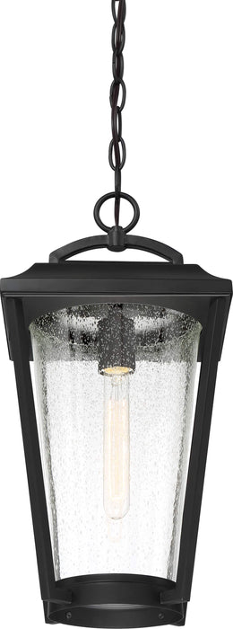 Hanging Lantern Nuvo 60-6514 Lakeview - 1 Light - Hanging Lantern - Aged Bronze Finish with Clear Seed Glass Nuvo